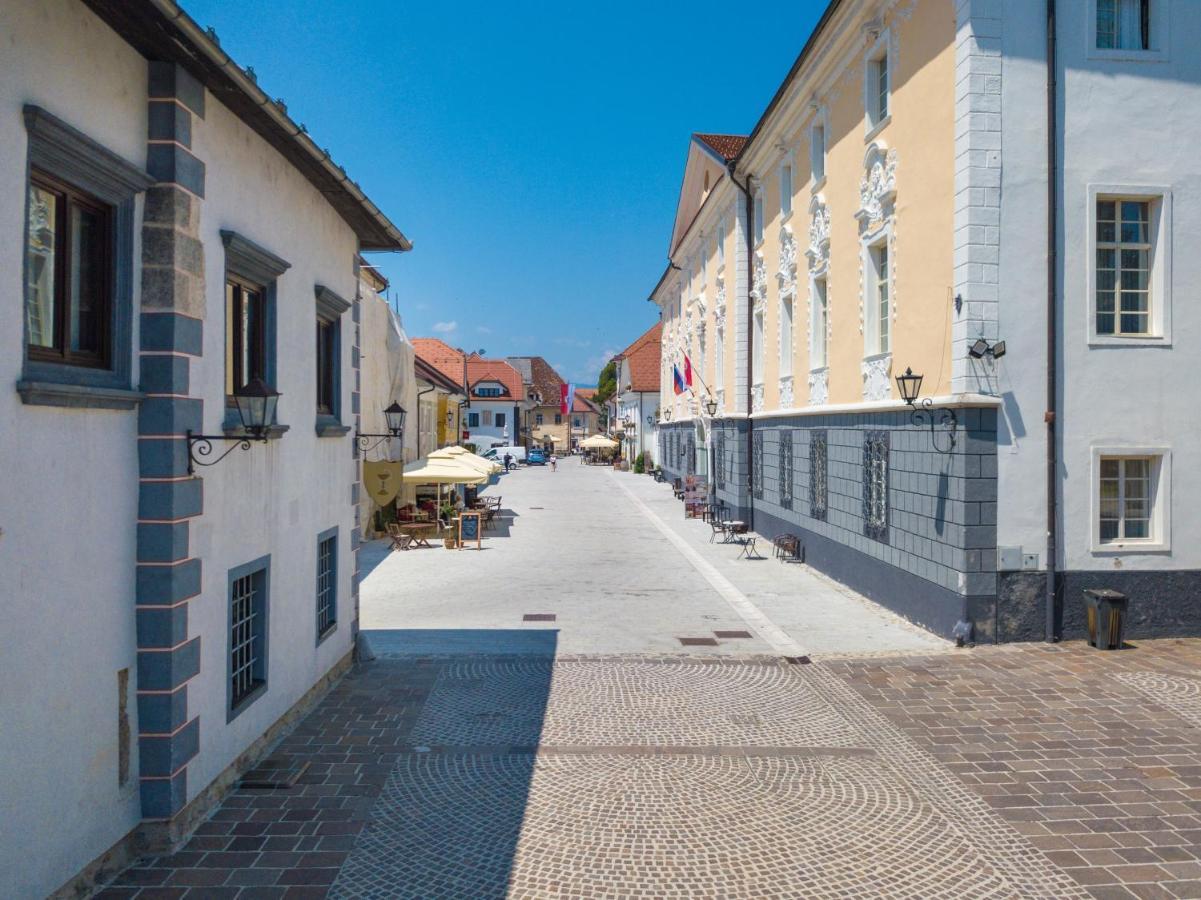 Vila Radolca Apartments & Rooms Radovljica Exterior photo