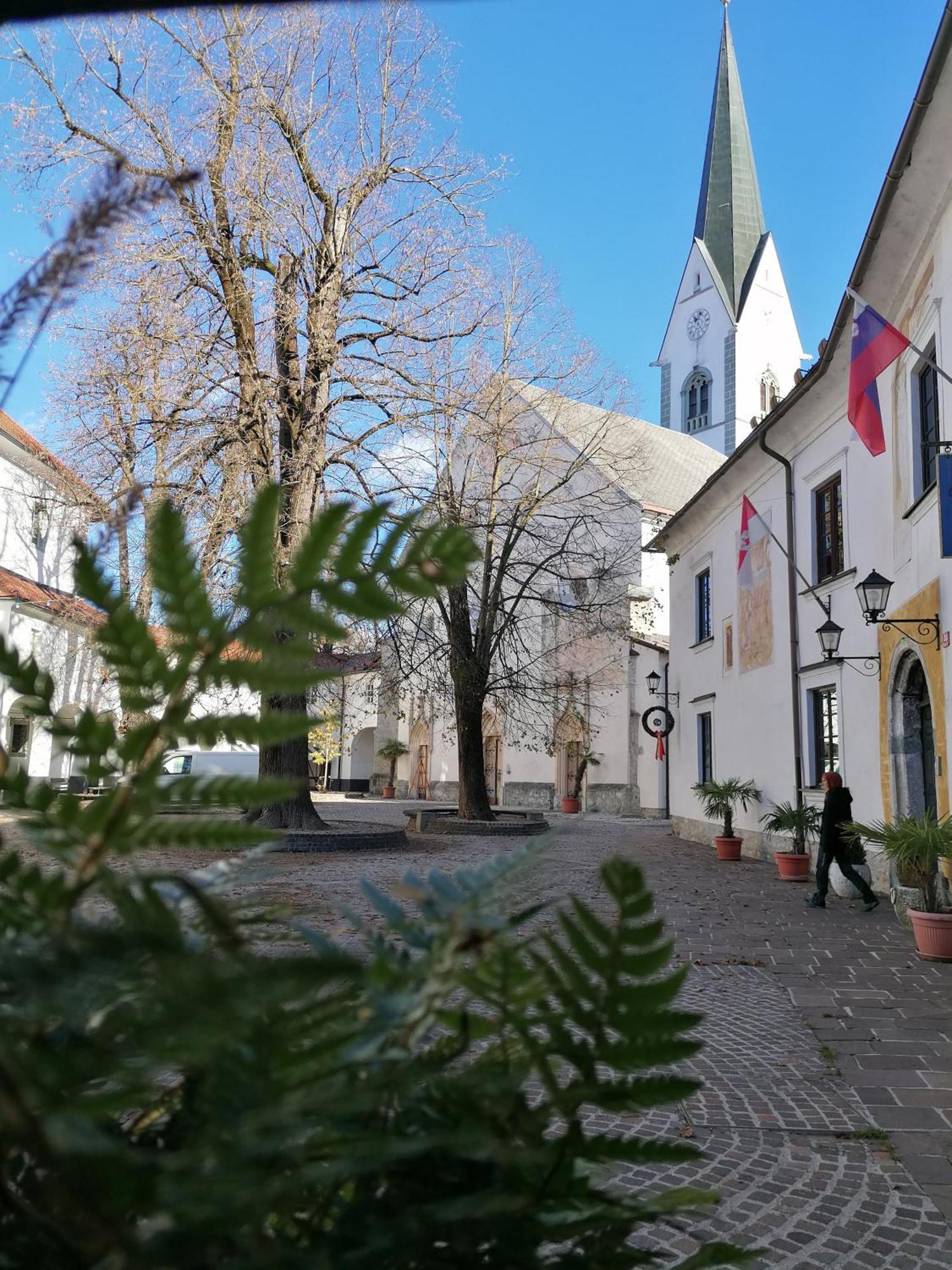 Vila Radolca Apartments & Rooms Radovljica Exterior photo